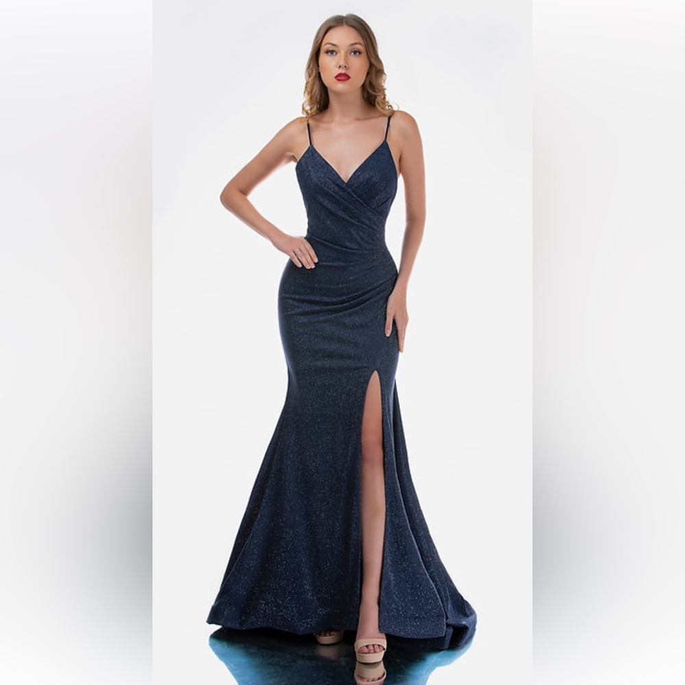 Navy PROM DRESS Nina Canacci